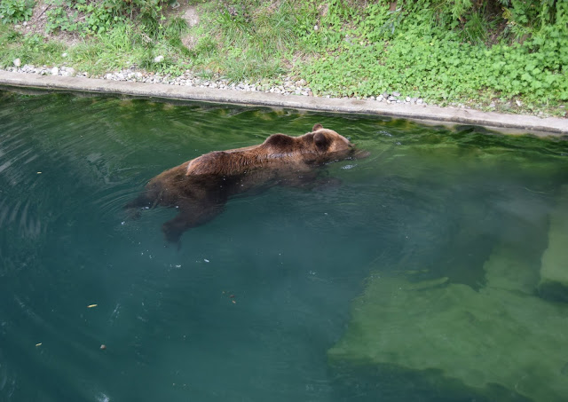 Bern, Switzerland Bear Pit