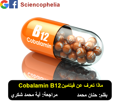 ماذا تعرف عن فيتامين Cobalamin) B12) ؟ - ساينسوفيليا