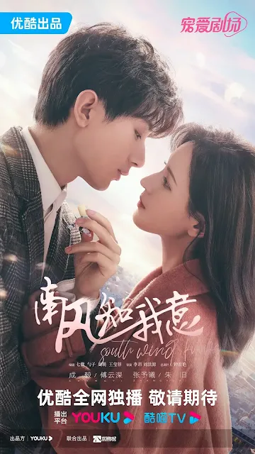 陸劇《南風知我意》劇情介紹，預告/播出時間/集數/改編小說/主要演員/影音平台優酷/電視劇