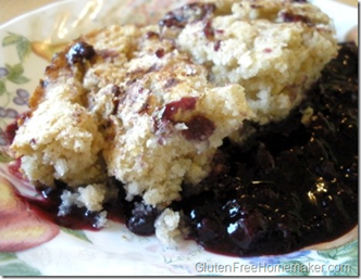 blueberry%20cobbler%20on%20plate_thumb%5B4%5D[1]