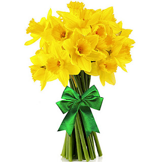 daffodil-anniversary-surabaya44