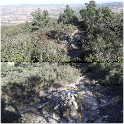 LA COGULLA - EL TOSSAL GROS Figuerola del Camp -(Alt Camp) -  Montblanc - (Conca de Barberà); carena de la Serra Carbonera en direcció al Coll de Coloma