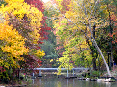 Fall Colors by the Lake Central Park