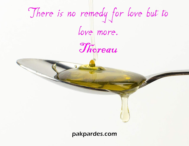   There is no remedy for love but to love more.  Thoreau,love,quotes,love quotes,best love quotes,love quotes for him,love quotes and sayings,romantic quotes,inspirational quotes,movie love quotes,love (quotation subject),famous quotes,what is love,love quotes for her,love quotes for him from her,best love quotes for him,i love him quotes,love quotes to him,cheesy love quotes for him,short love quotes him,love quotes for someone special