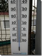 IMG_20150225_140103 (593x800)