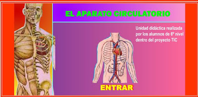 http://www.ceiploreto.es/sugerencias/averroes/manuelperez/udidacticas/udanatomia/circulatorio/index.htm