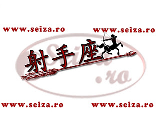 Tatuaj pentru zodia sagetator cu simbolul chinezesc / japonez pentru Sagetator (Japoneza: Kanji: 射手座; hiragana: いてざ; citire: iteza) (Chineza: Hànzì: 射手座; pinyin: shèshǒuzuò)