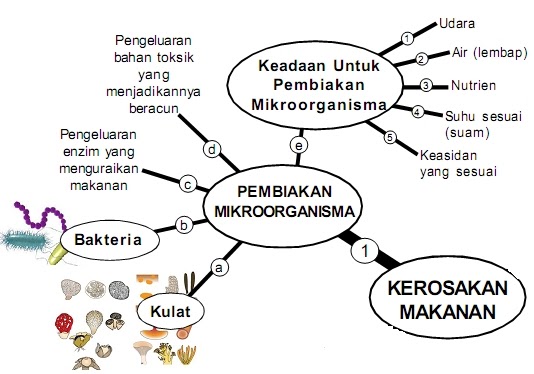 Kerosakan Makanan - pembiakan mikroorganisma  PANITIA 