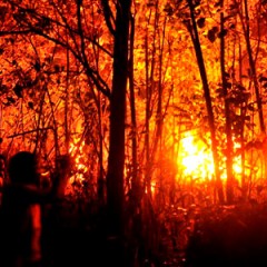 Hutan Sulut Terbakar, 47 Titik Api Terdeteksi