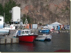IMGP2214