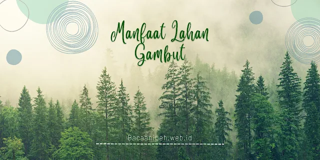 restorasi lahan gambut