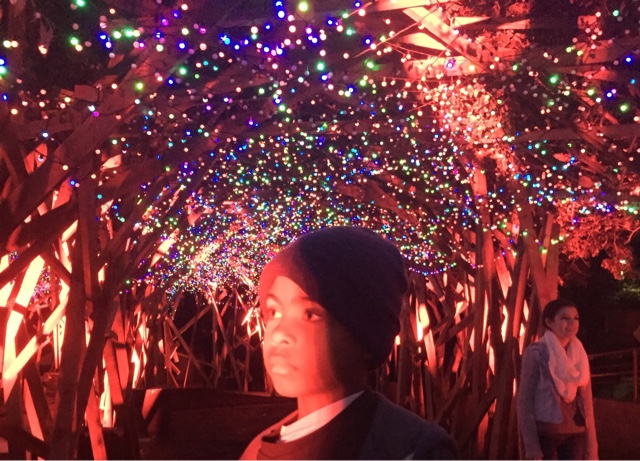 LA Zoo Lights Take Holiday Lights to Another Level (Giveaway)