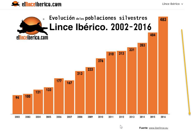 población de lince ibérico