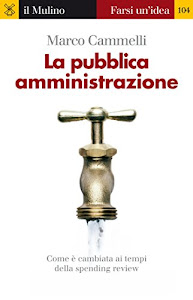 La pubblica amministrazione (Farsi un'idea Vol. 104)