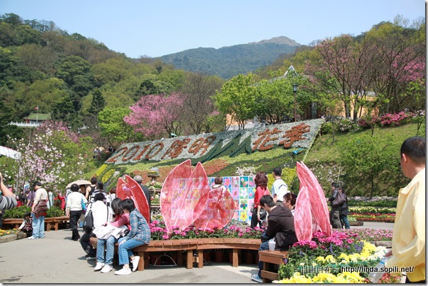 2010陽明山花季-廣場