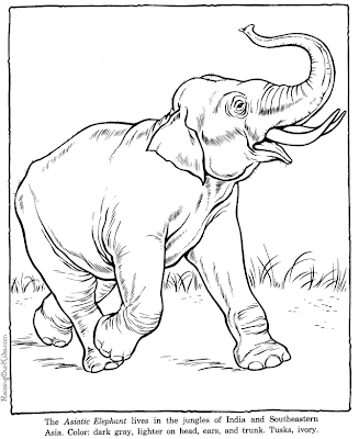 Elephant Coloring Pages