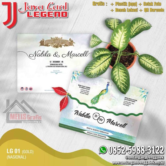 JV LEGEND 01 (GOLD)