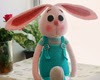 http://fairyfinfin.blogspot.com/2014/06/crochet-rabbit-rabbit-doll-amigurumi_1.html