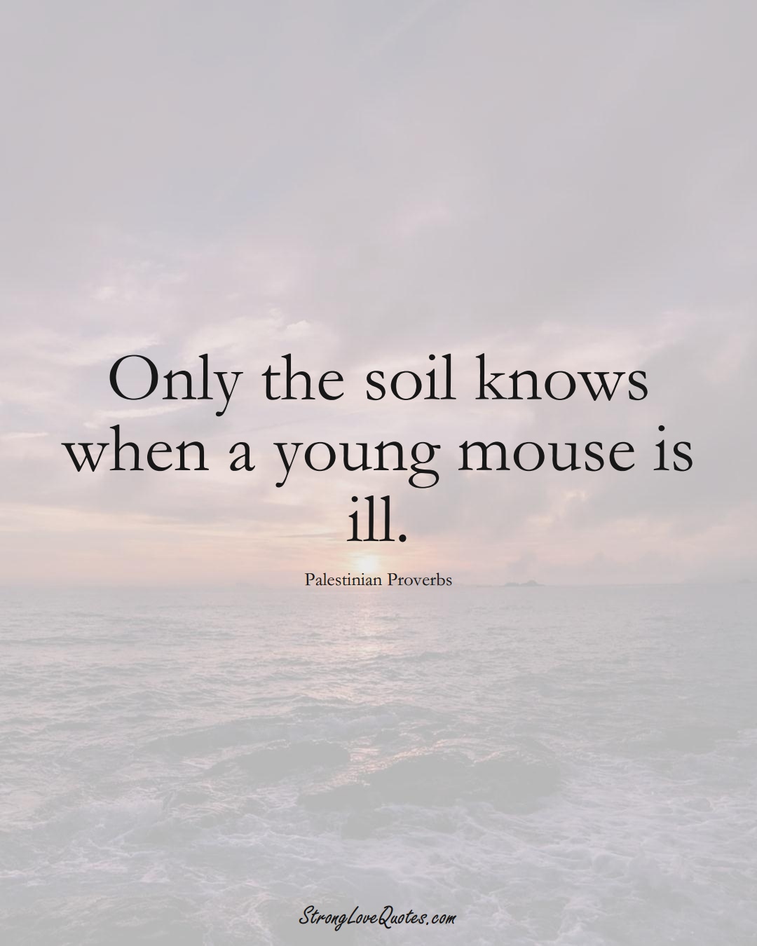 Only the soil knows when a young mouse is ill. (Palestinian Sayings);  #MiddleEasternSayings