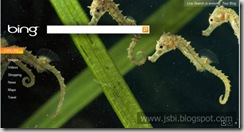 thumbs_bing-microsoft