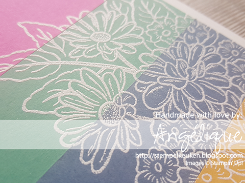 de Stempelkeuken Stampin'Up! producten koopt u bij de Stempelkeuken #stempelkeuken #stampinup #stampinupnl #embossing #heatembossing #ornategarden #bedankt #stamping #stempelen #crafting #knutselen #basteln #kaartenmaken #echtepostiszoveelleuker #kaartjesmaken #workshop #handmadecards #handgemaaktekaarten #thankyou #vriendschap #bloemen #lente #diy #denhaag #westland #rijswijk #delft #magenta #jade #incolors