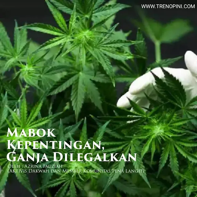 Pada Kamis, 3 Desember 2020 Komisi PBB untuk obat-obatan narkotika (CND) memutuskan mengeluarkan ganja dari Lampiran IV, Konvensi 1961 tentang Obat-obatan Narkotika. Keputusan ini diambil melalui voting negara anggota PBB, sebanyak 27 anggota setuju ganja dikeluarkan dari daftar tersebut, 25 menolak dan satu abstain (tempo.co). Hasil voting terbanyak tentulah menjadi hasil final dari kesepakatan bersama saat rapat antar negara anggota PBB. Keputusan akhir ini menjadikan CND membuka pintu legalitas ganja di beberapa negara dunia yang mengakui potensinya sebagai terapi dan medis