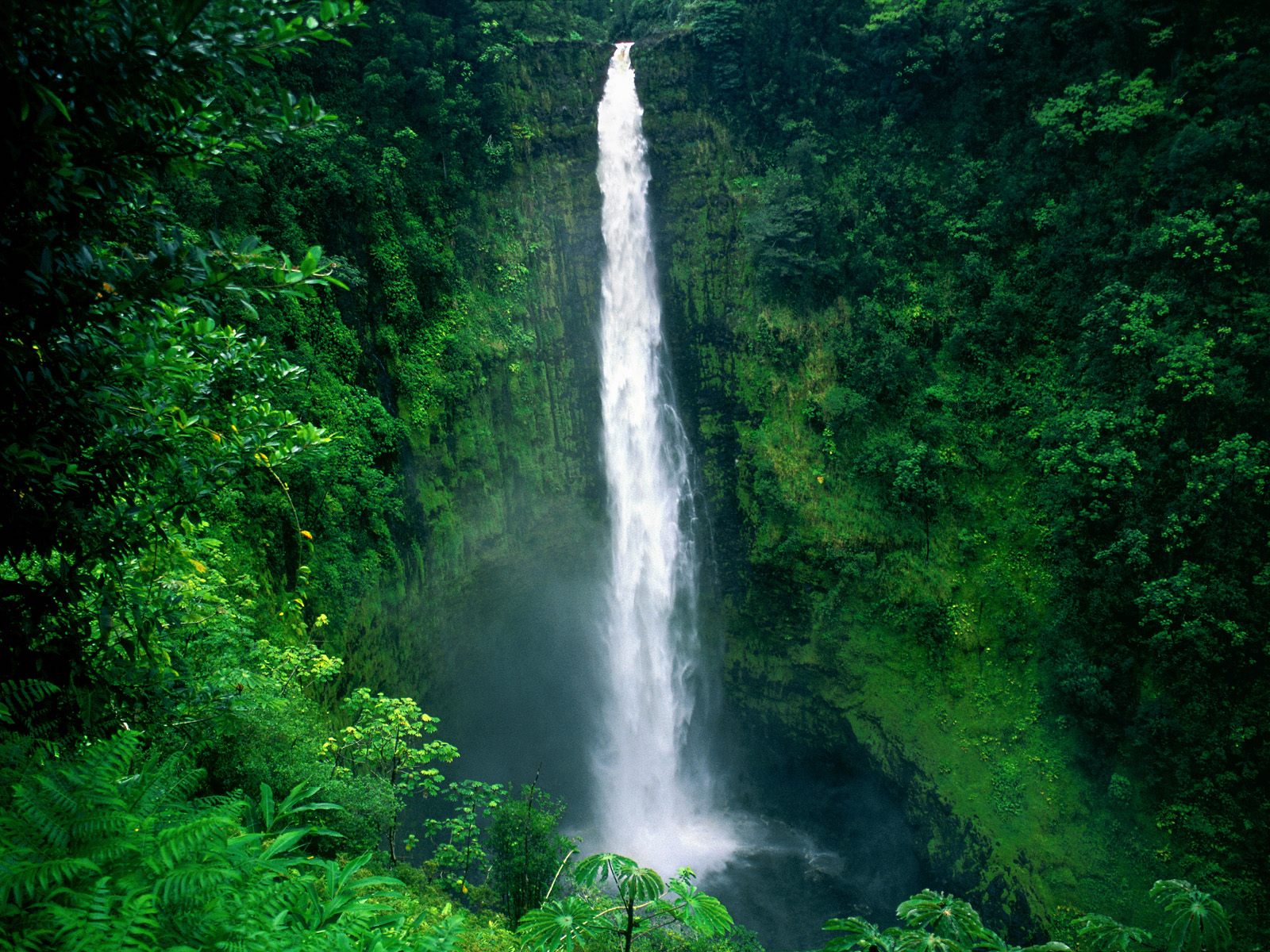 Download this Download Akaka Waterfalls Wallpaper Click Full Size And Then picture