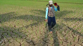 Bantu Petani, Pemkab Karawang Ajukan 132 Pompa Air untuk Cegah Kekeringan