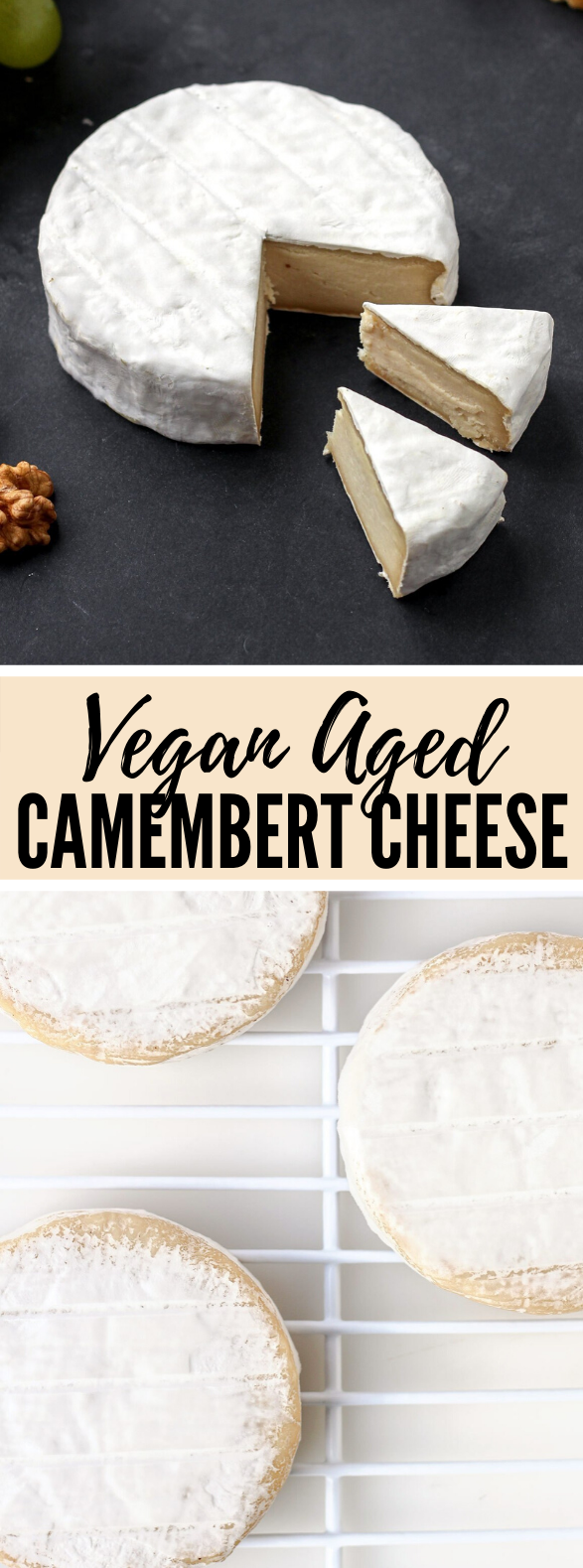 Vegan Aged Camembert Cheese #veggies #meals