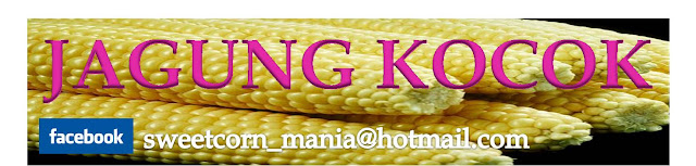 SELAMAT DATANG DI JAGUNG KOCOK