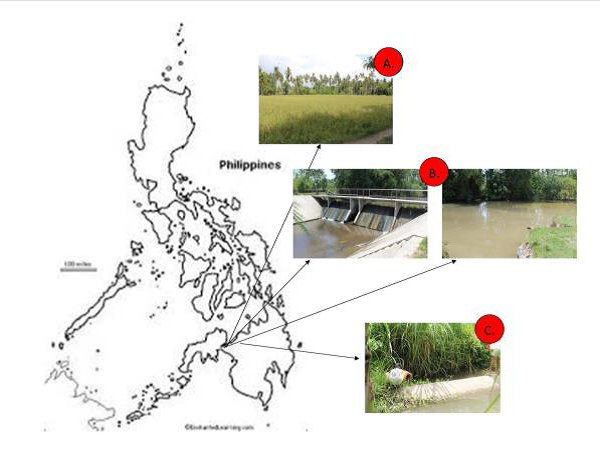 Fig. 1. Map of the Philippines. A) Rice field at Brgy. Tenazas, Lala, Lanao del Norte; B) Dam and Stream at Brgy. El Salvador, Lala, Lanao del Norte; and C) Irrigation Canal at Brgy. Balagatasa, Maigo, Lanao del Norte.