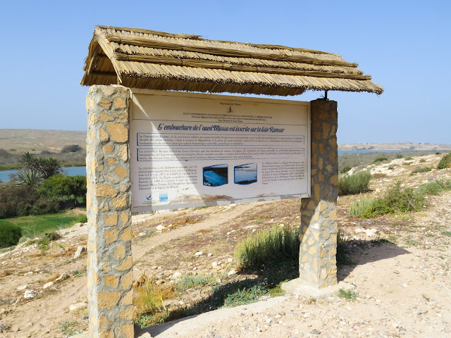 Souss Massa National Park - Morocco