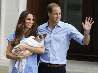 Grumpy cat the royal