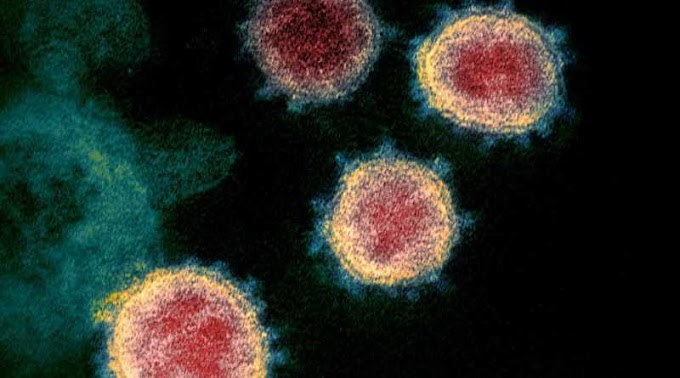 O novo coronavírus SARS-CoV-2  se dissemina mais facilmente no ambiente