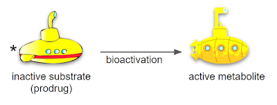 Bioactivation mnemonic by Jason Cafer MD