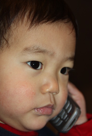 2010-02-08_011