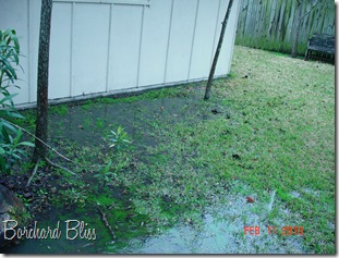Backyard with water 6