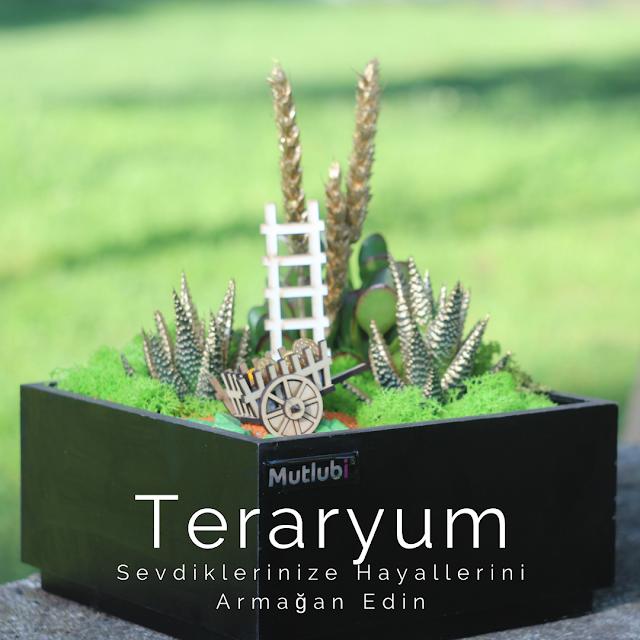 teraryum