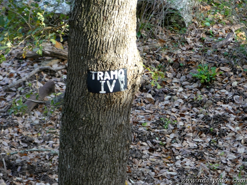 Sierra del Hacho (Gaucín)