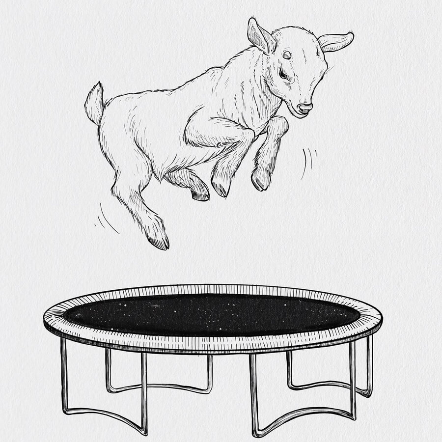 10-A-lamb-playing-Animal-Drawing-Elena-Cela-www-designstack-co