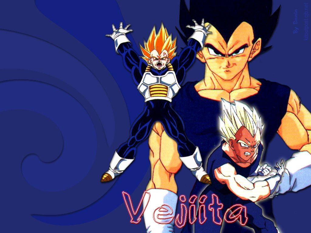 Download Free Wallpapers  Dragon  Ball  Z Wallpapers 