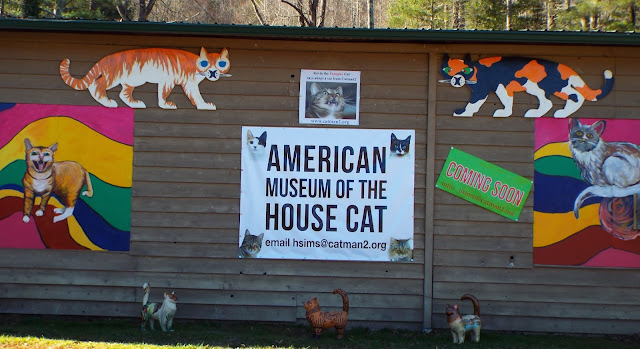 Exterior of the American Museum of the House Cat