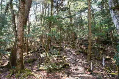 竜宮洞穴（セの海神社）