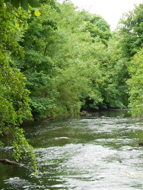 A picture of Edinburgh's Water of Leith, a walk in the centre of Edinburgh