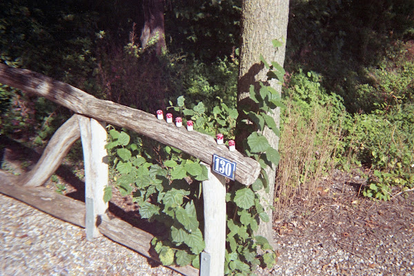 Vervaardigde paddenstoeltjes op houten hekje