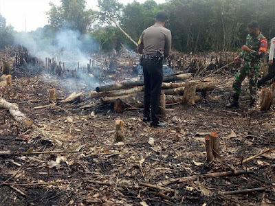 1,4 Hektare Lahan di Desa Sukamaju Disinyalir Sengaja Dibakar