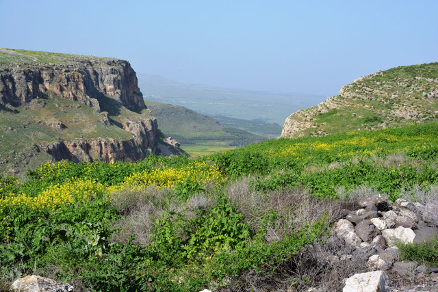 arbel cliff view