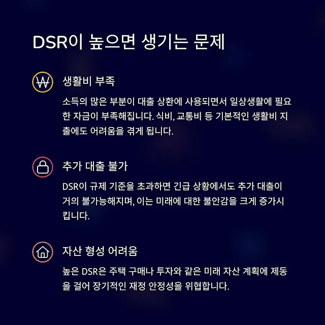 DSR 규제로 인한 문제점