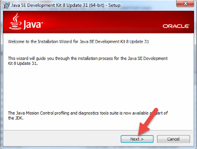 How to install Java