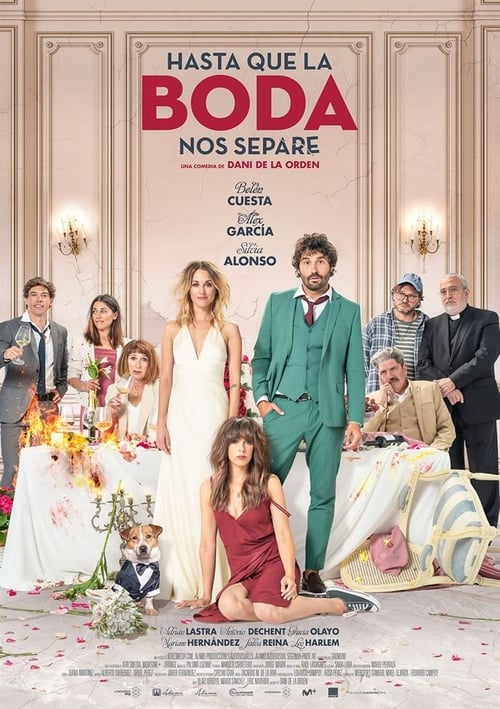 Descargar Hasta que la boda nos separe 2020 Pelicula Completa En Español Latino